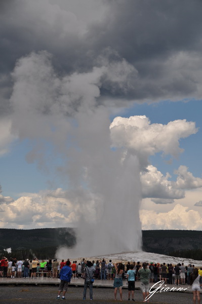 Old Faithful