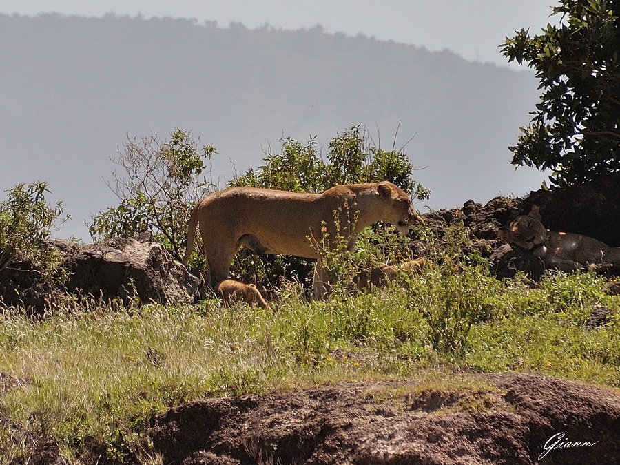 Tanzania