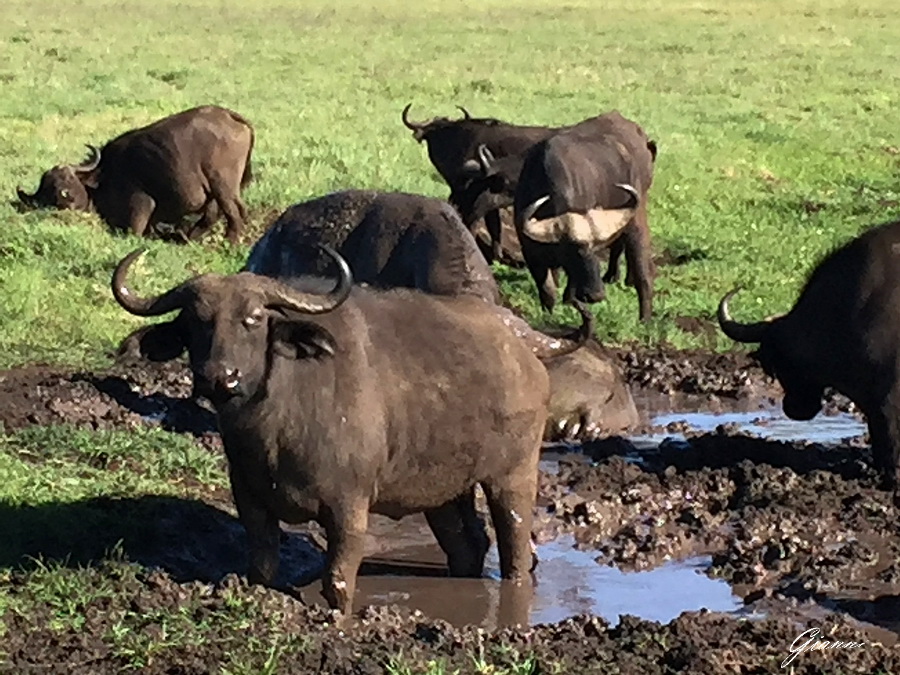 Tanzania