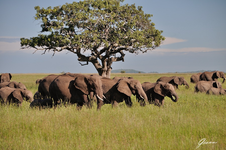 Tanzania