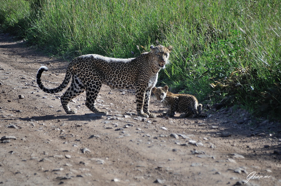 Tanzania