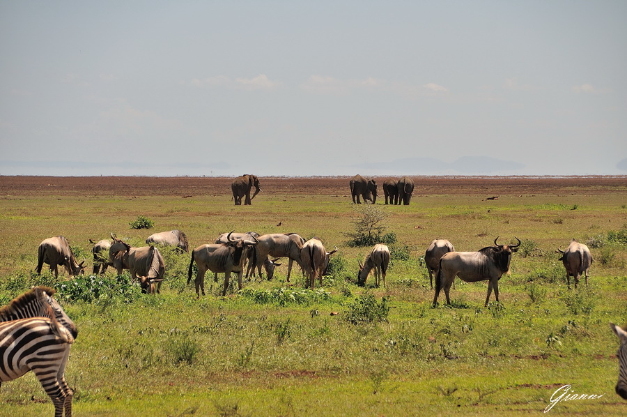 Tanzania