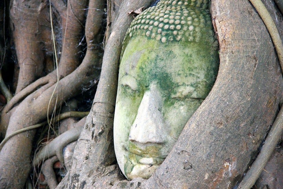 Ayutthaya