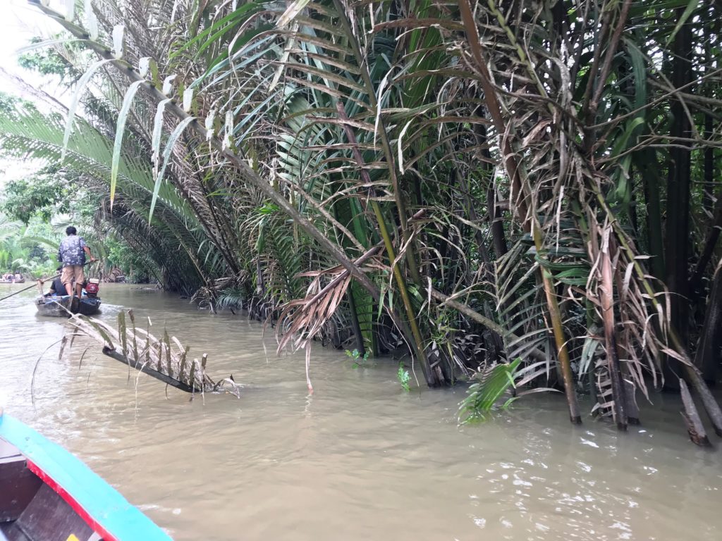 Delta del Mekong
