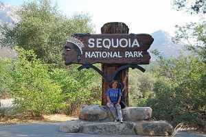 Sequoia National Park