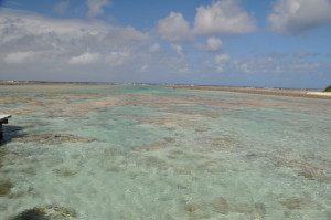 La barriera corallina