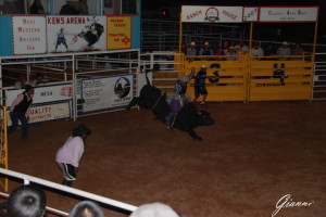Rodeo vicino a Page
