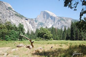 Half Dome