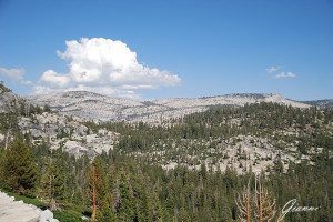 Verso il Tioga pass