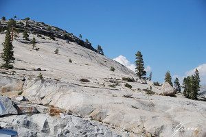 Tioga pass - Massi erranti