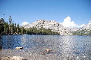 Tenaya Lake