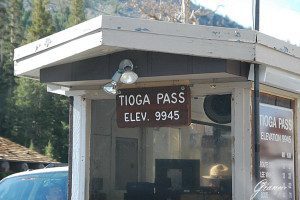 Tioga pass - 3.031 metri di altezza