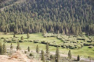 Tioga Pass