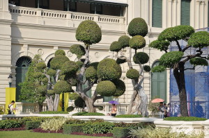 I giardini del Palazzo