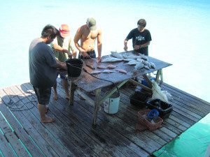 Al ritorno dalla pesca