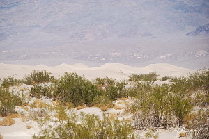 Dune di sabbia nel deserto