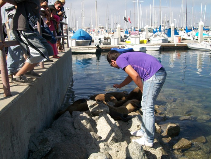 Manuel e le foche a Monterey