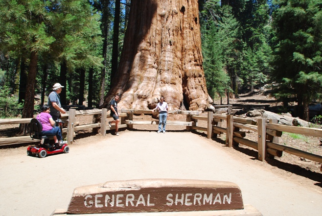 Il Generale Sherman