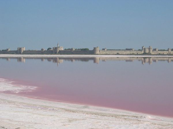 Le saline di Aigues Mortes