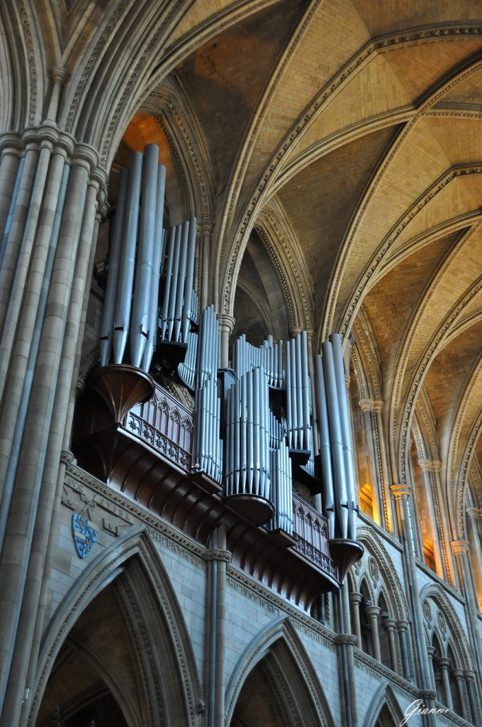 Cattedrale di Truro - L'organo