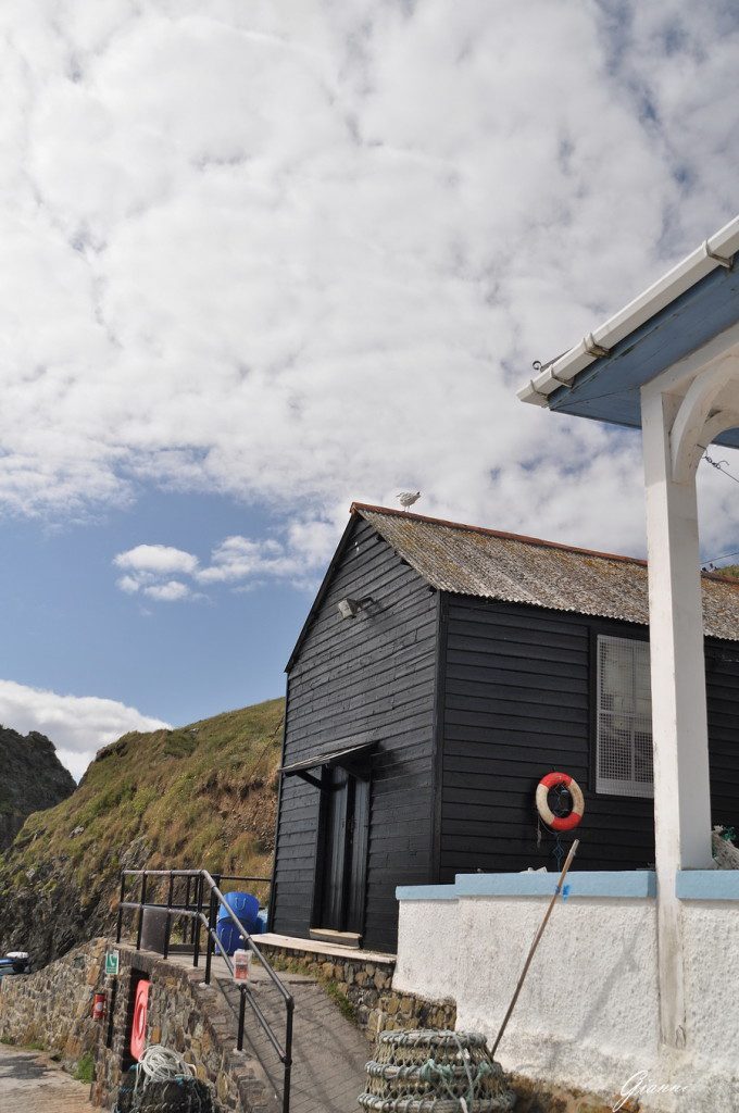 Mullion Cove - Il porticciolo