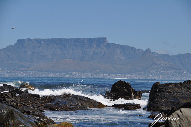 Table Mountain vista da Robben Island