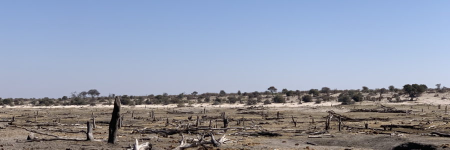 Siccità e desolazione