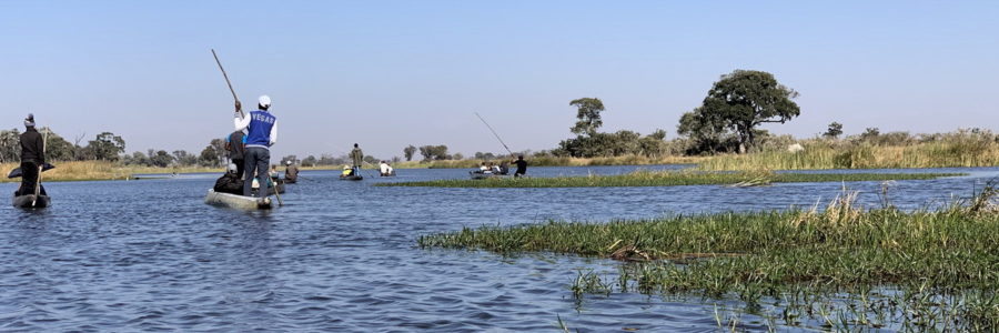 Okavango in mokoro