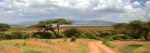 tanzania