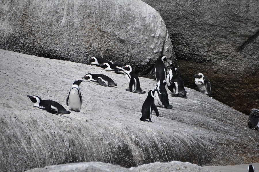 Boulder Beach