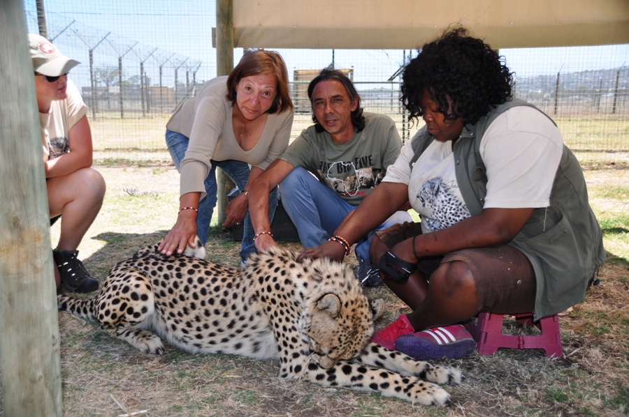 Cheetah Outreach