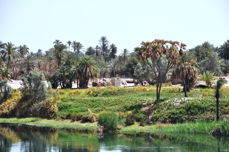 Crociera sul Nilo da Luxor ad Assuan