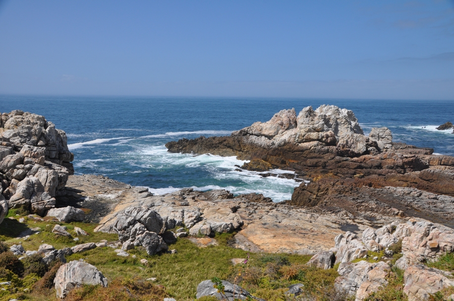 Hermanus