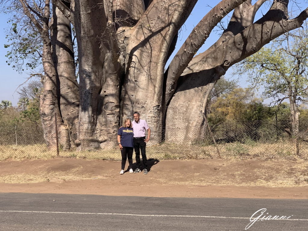 I nonni avventura all'ombra di un baobab