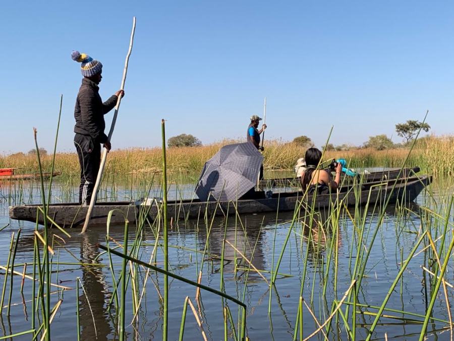 Navigazione dell'Okavango