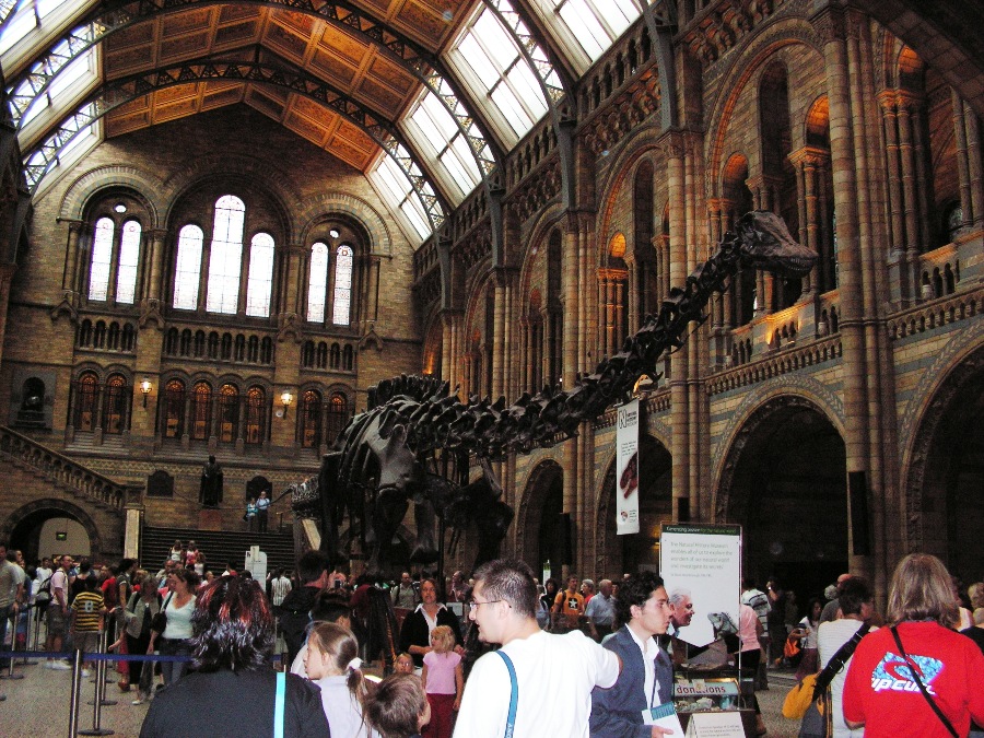 Museo di Storia Naturale Londra