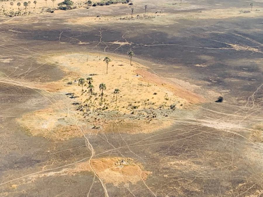 Okavango