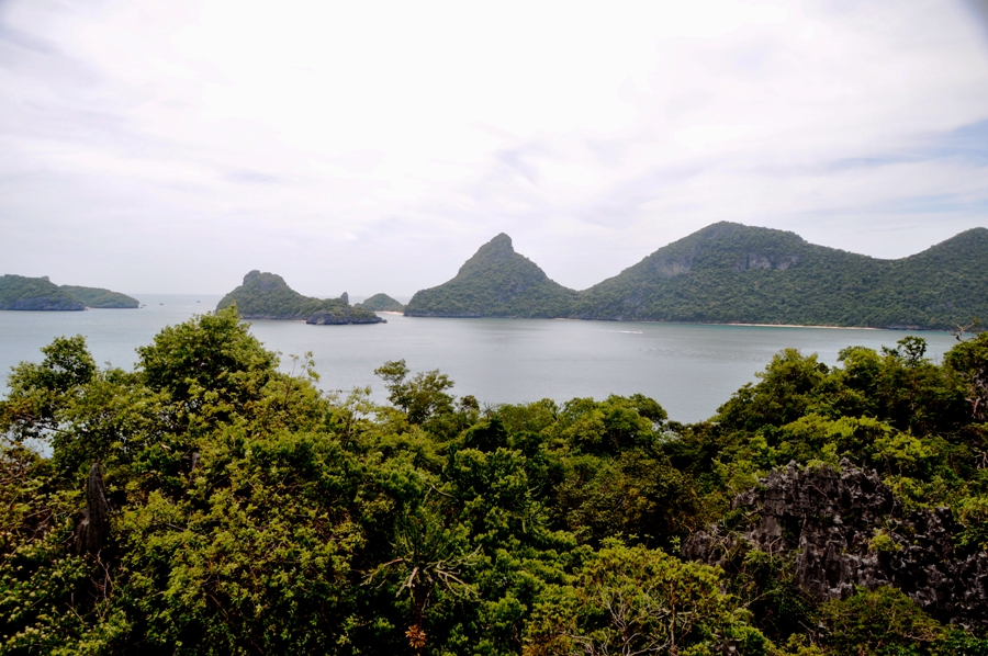 Panorama