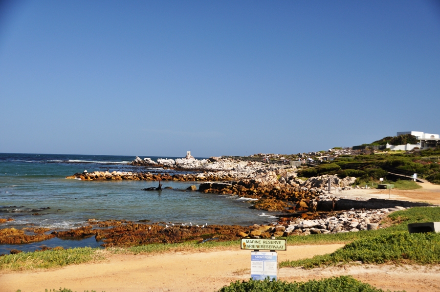 Panorama sulla Garden Route