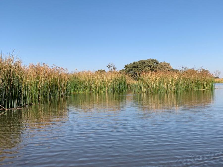 Sul Delta dell'Okavango