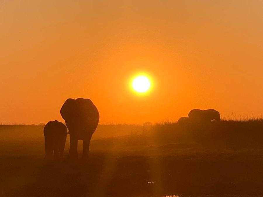 Tramonto nel Chobe National Park