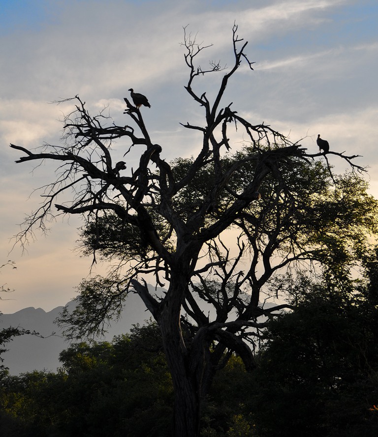 Tramonto nel Kruger National Park