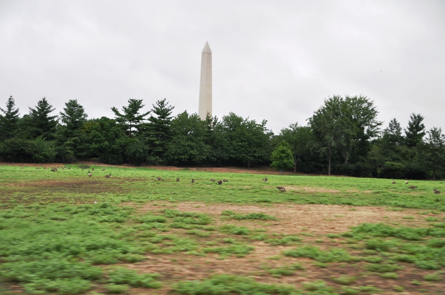 Washington Monument