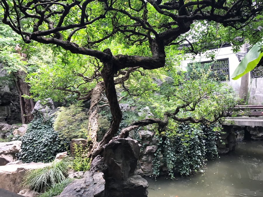 Yu Garden Shangai