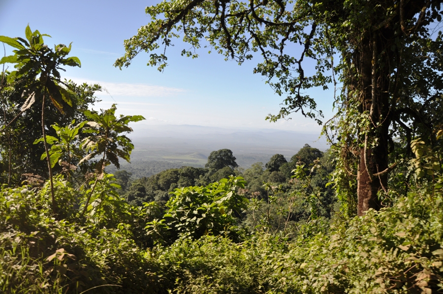 Panorama in Tanzania