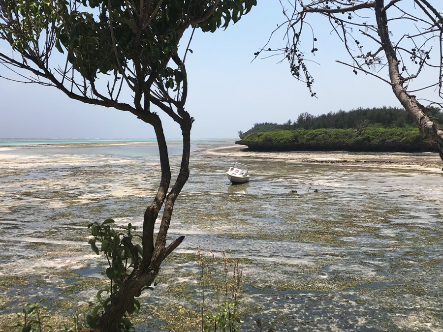 Bassa marea a Zanzibar
