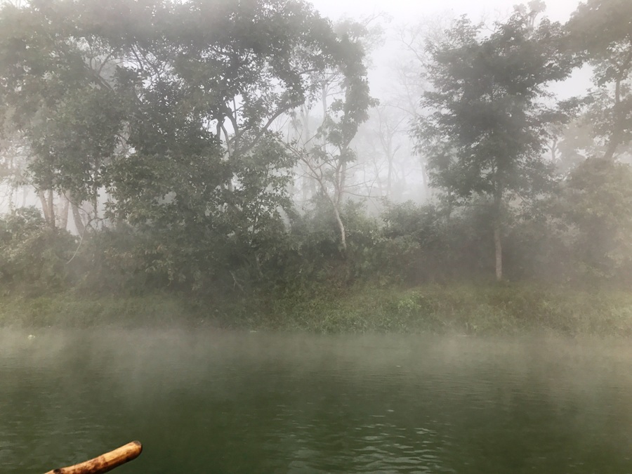 Parco Nazionale di Chitwan