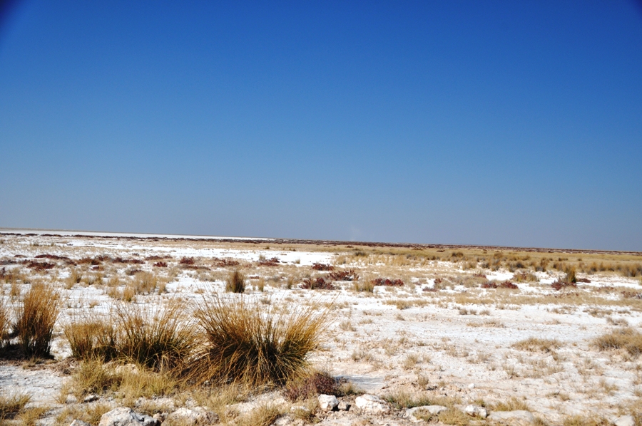 Etosha il pan