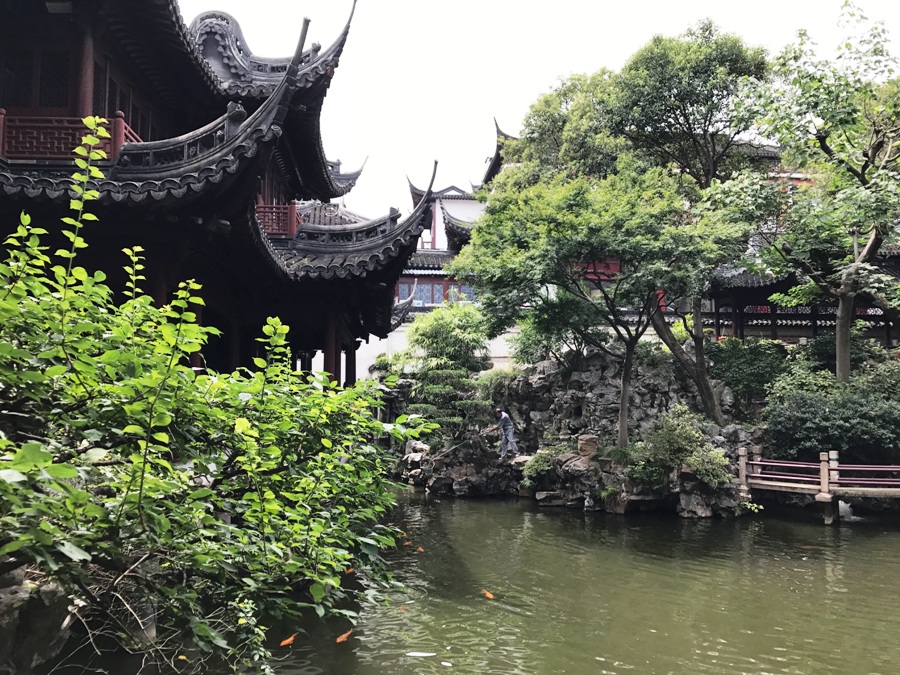 Shangai Yu Garden