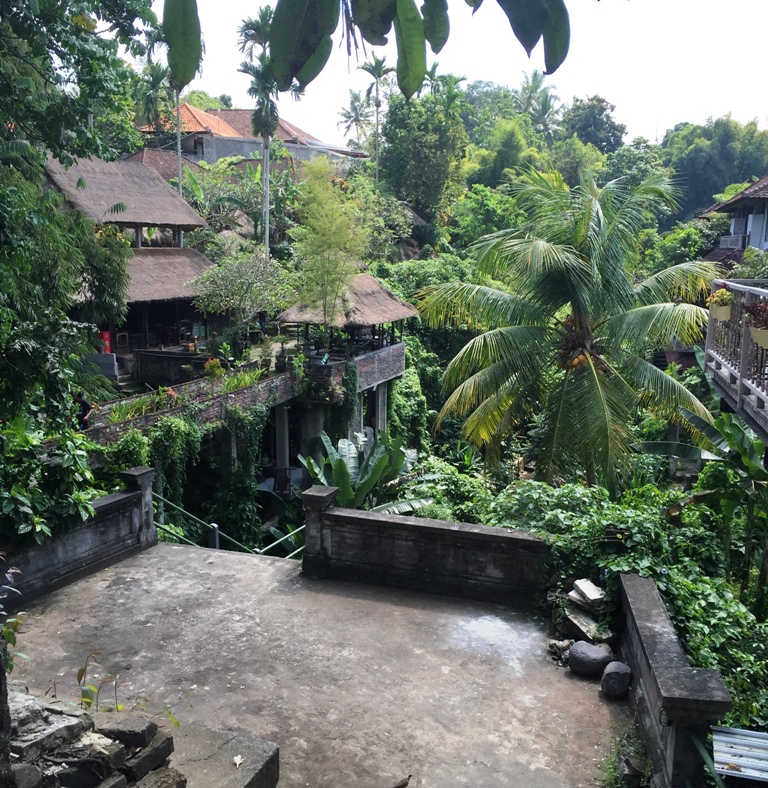 In giro per Ubud